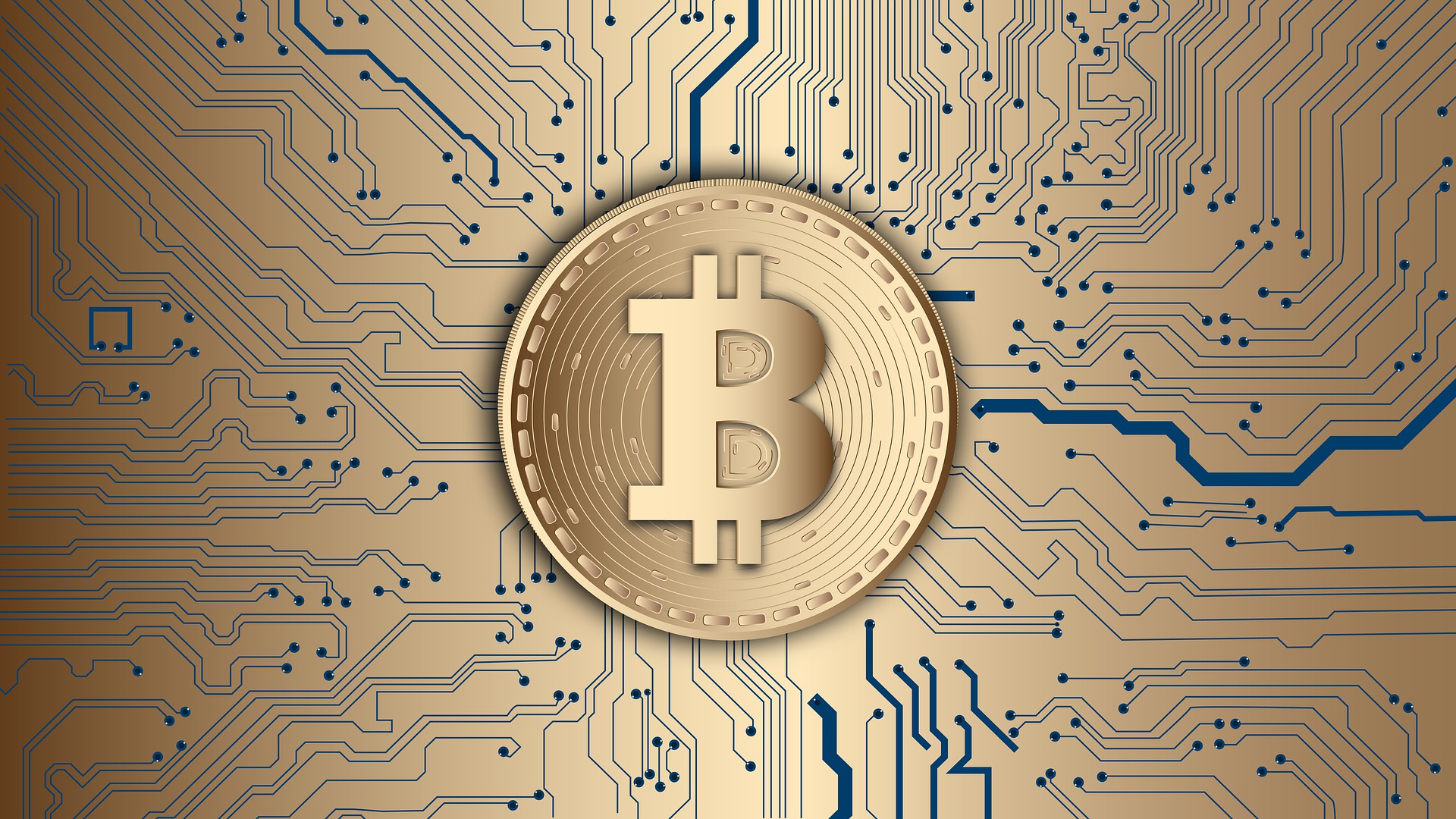 Crypto Market Weekly Outlook: ETF Outflows, Market Cap Shifts, and Investor Sentiment