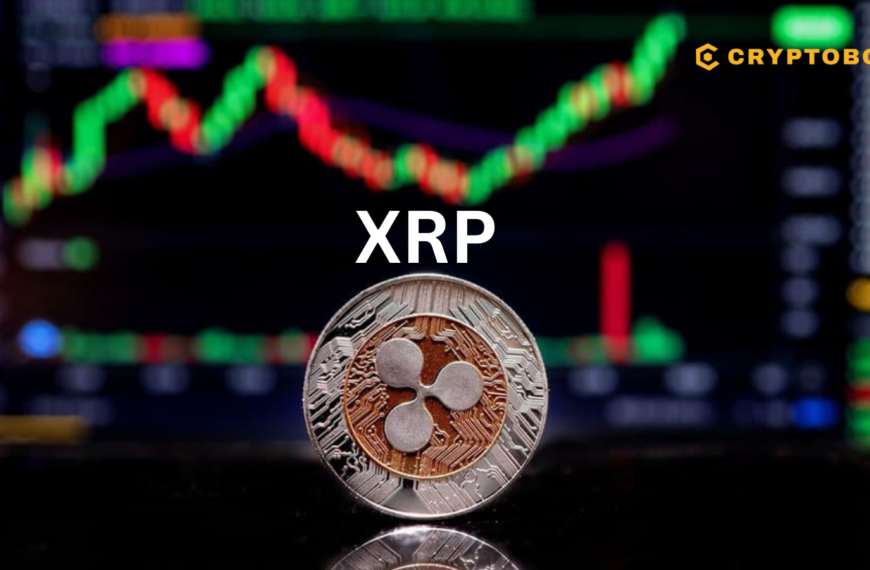 XRP Price Analysis: Past Performance and Future Predictions