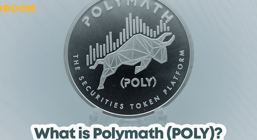 Polymath (POLY) Price Prediction 2024, 2025, 2030, 2035, 2040 | Is POLY Worth Holding?