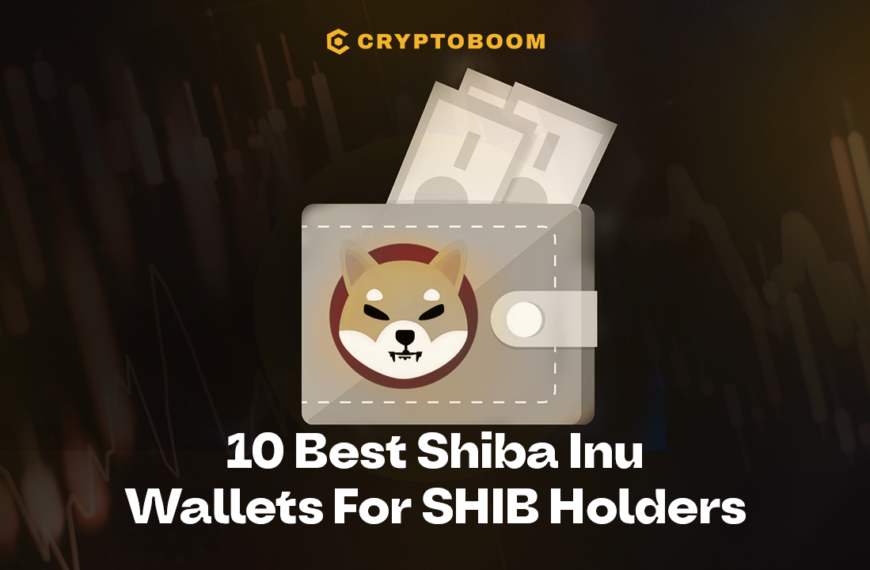 Top 10 Shiba Inu Wallets Recommended for SHIB Investor