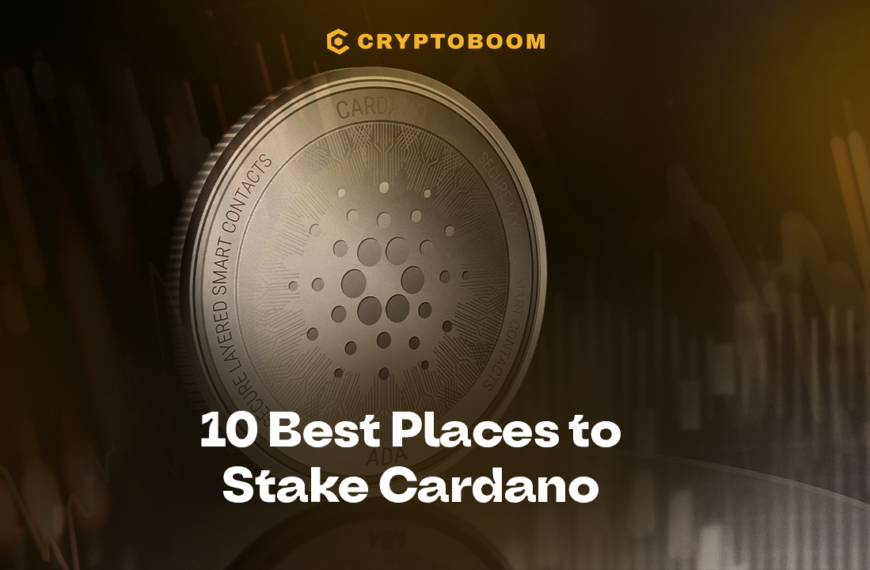 Where to Stake Cardano: Top 10 Best Platforms