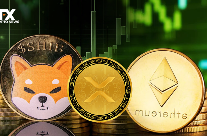 Crypto Trio: XRP, Shiba Inu (SHIB), Ethereum (ETH) Unraveled