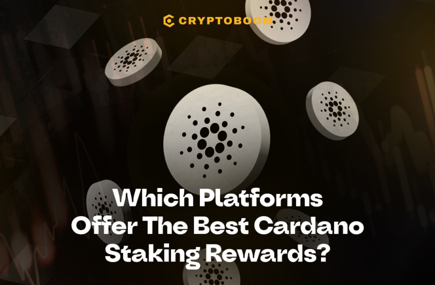 Top Platforms for Maximizing Cardano Staking Rewards