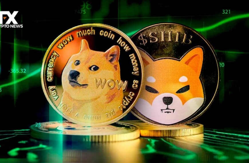 Dogecoin, Shiba Inu Stumble In Meme Coin Mayhem