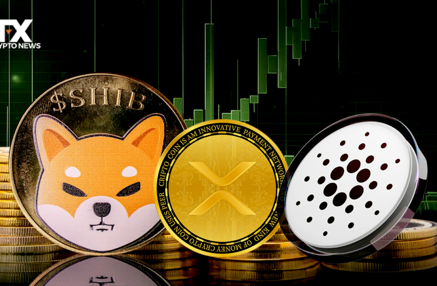Crypto Market Surges: Whales Accumulate Cardano, XRP, and SHIB