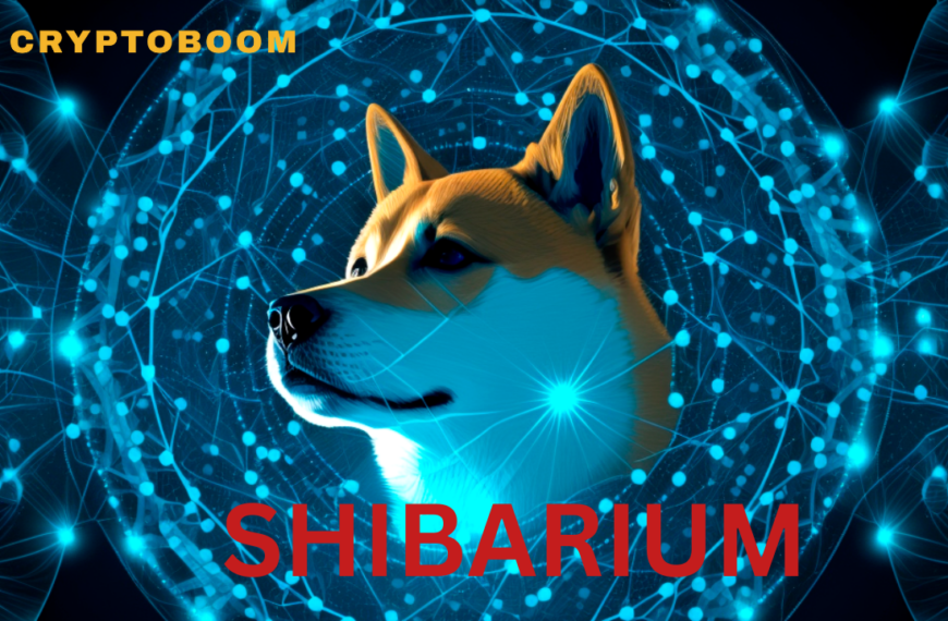 Shibarium Faces Transaction Spike and Sudden Drop: What’s Behind It?