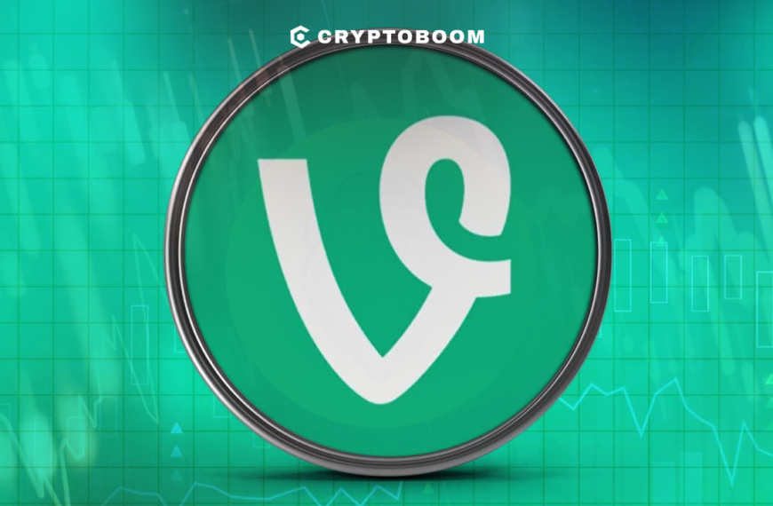 47% Price Crash or a Buying Opportunity? $VINE Under the Spotlight